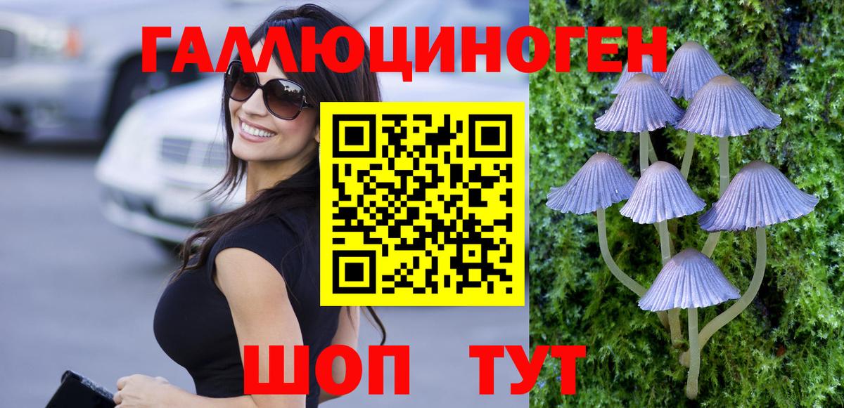 купить наркотики цена  Псилоцибиновые грибы Magic Shrooms  Вход с VPN  Кольчугино 